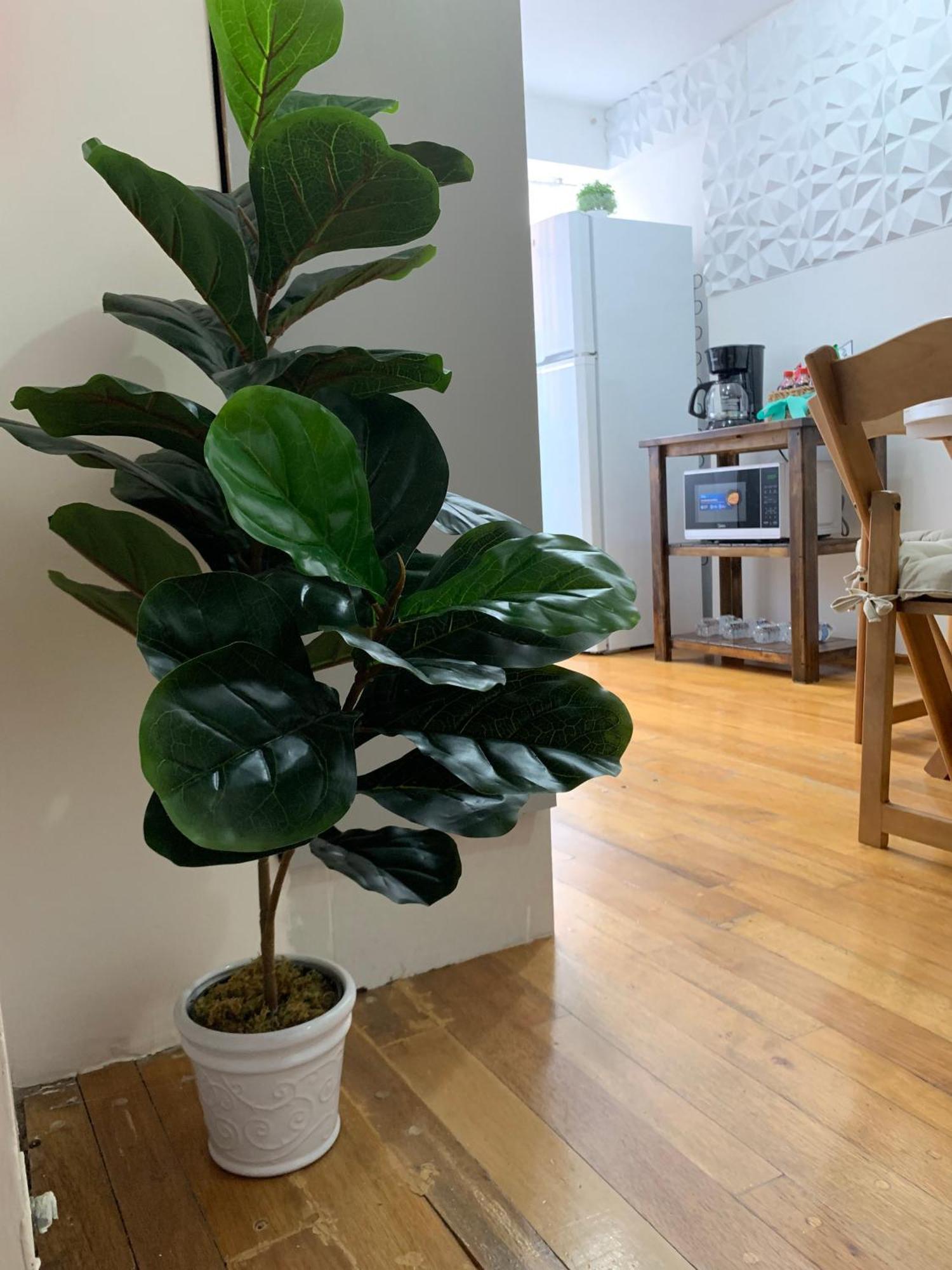 Appartement Quedate En El Centro Cdmx Cerca Alameda Y Roma